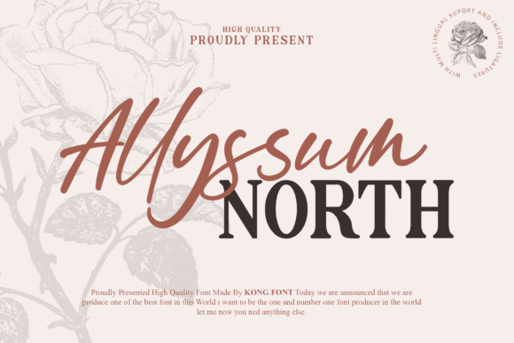 Allyssum North: A Modern Script for Creative Projects