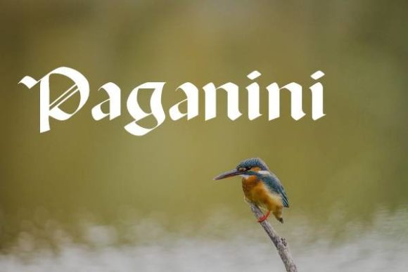 Paganini Font: Unleashing Gothic Boldness in Your Designs